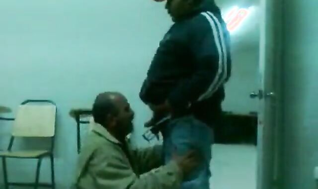 Fat Daddy Bear Sucks Chub