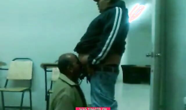 Fat Daddy Bear Sucks Chub