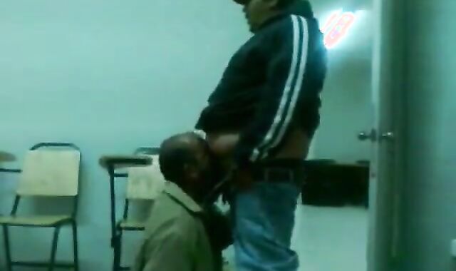 Fat Daddy Bear Sucks Chub