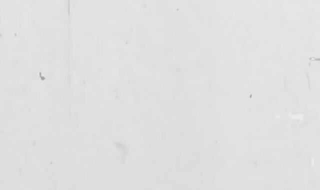 Youthfull Perps:voyeur Frolicking Super-cute:spycam Perp Attempts Negotiating Break away