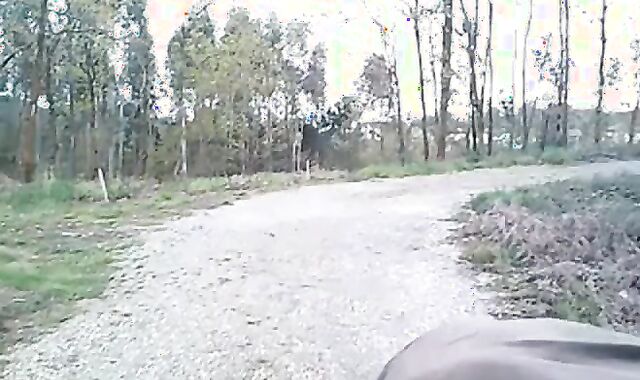 Portuguese Bear Strips and Shows His Big Cock