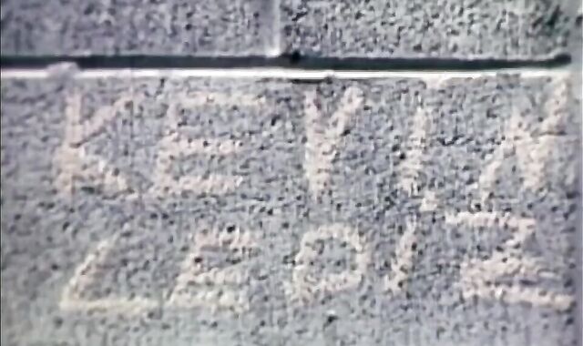 Milky Litter spycam(1980)