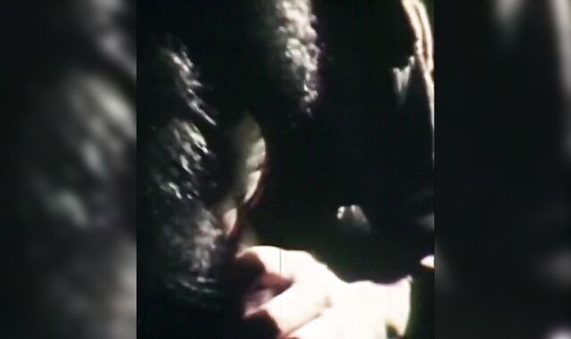 Milky Litter spycam(1980)