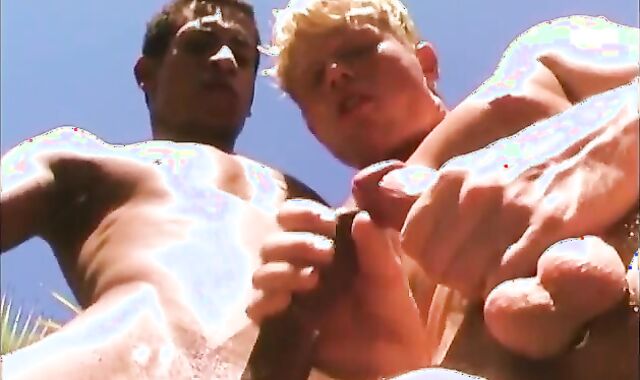 Go outside,spycam have a BBQ,voyeur and pulverize this day