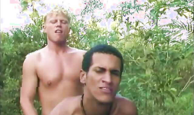 Go outside,spycam have a BBQ,voyeur and pulverize this day