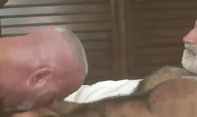 2 Milky Bearded Parent's Enjoy 2