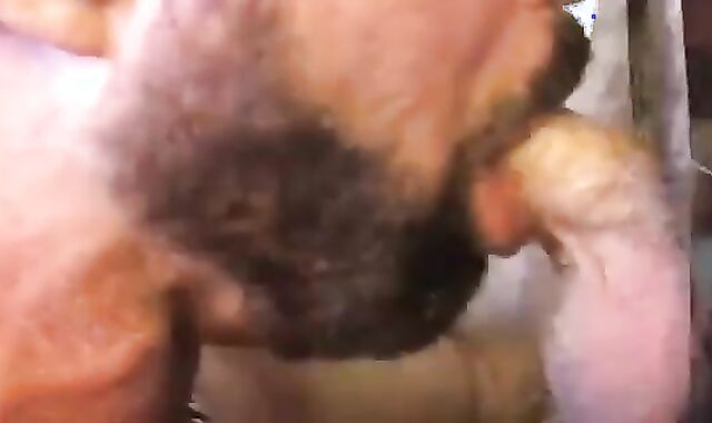 Mushroom oral Milky bone Polished At