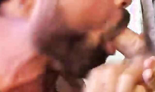 Mushroom oral Milky bone Polished At