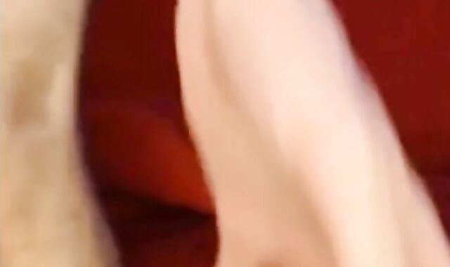 Webcam Twinks in Action