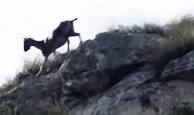 Lovemaking In The Mountains