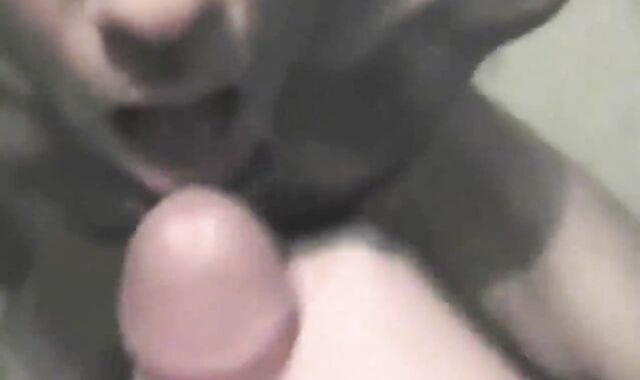 Exposure whore Christopher Allen Foster sucks cum and drinks his own piss