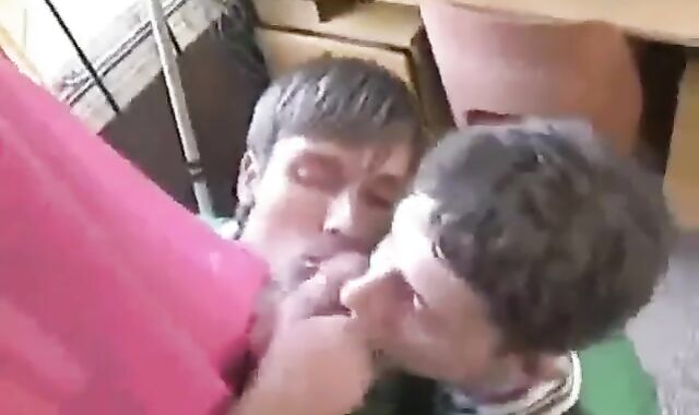 homosexual boyz pile-bang-out lot-hump And plenty of-hook-up