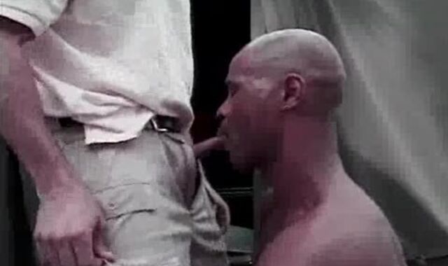 Milky fellow Predominates dark-hued man