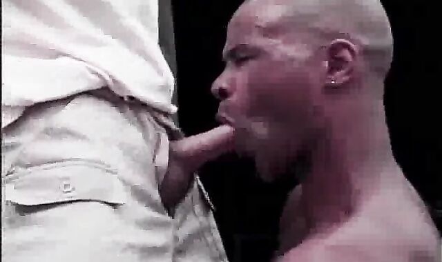 Milky fellow Predominates dark-hued man