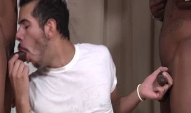 dark-hued masculines Sandwich Milky