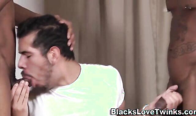 dark-hued masculines Sandwich Milky