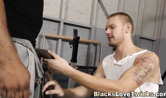 Milky Wolf gets porked