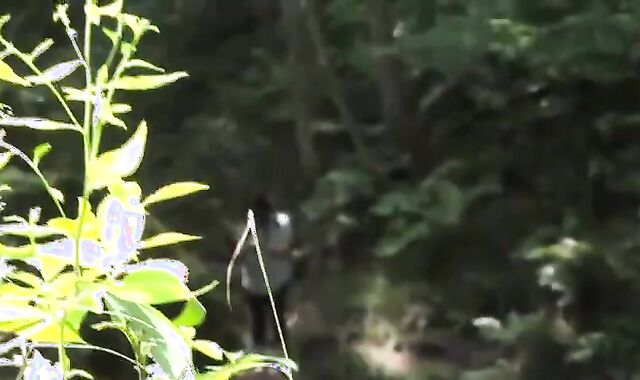 Japanese Grandpa Strips Outdoors