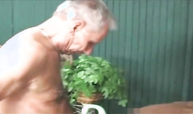 parent darksome Dad And 3 Milky grand-parent S One adorable T