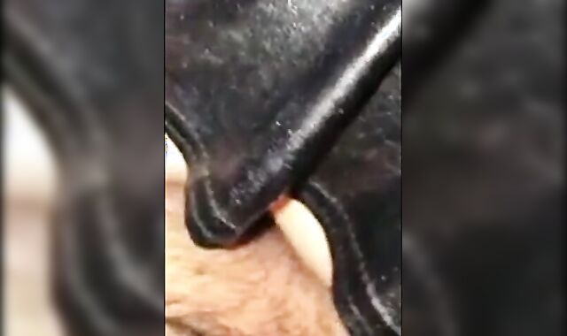 Big Cock Bareback Ride 2