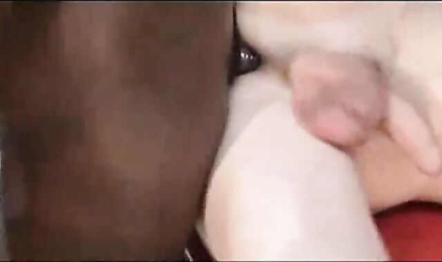 Multiracial trio-some