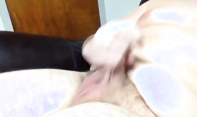 My 19 Yr father Circumcised pink cigar