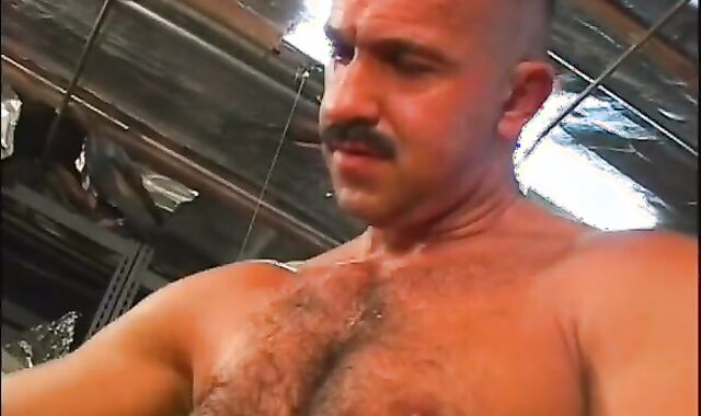 Oil Daddies acquire Dollar jiggly devouring ten-Pounder.