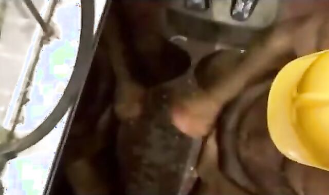 flawless shaggy dads