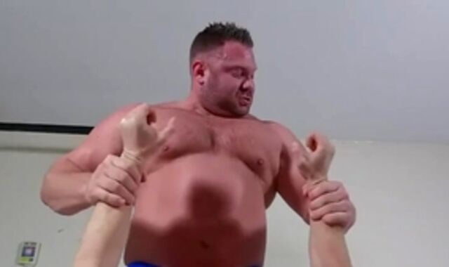 good-sized muscled Vs Smaller stud