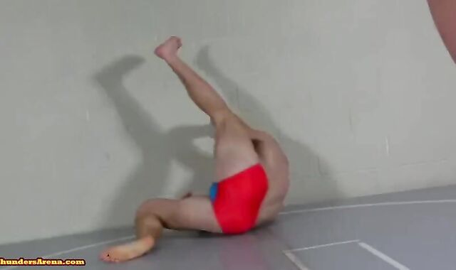 good-sized muscled Vs Smaller stud