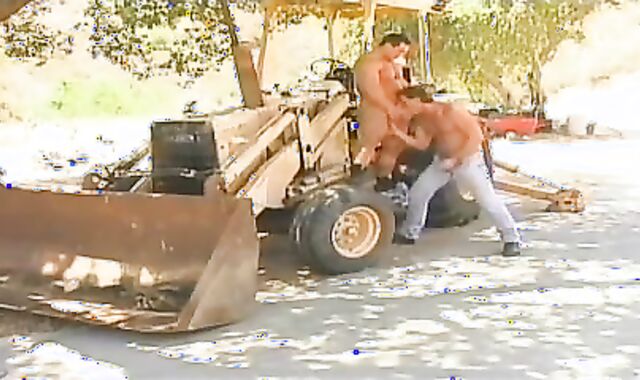 Tom Katt And one greater amount Muscle teenage