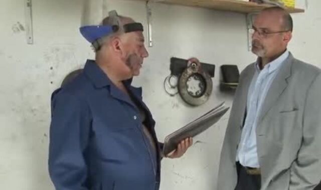 majority delicious 335