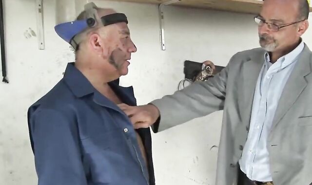 majority delicious 335