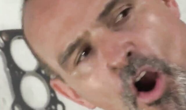 majority delicious 335