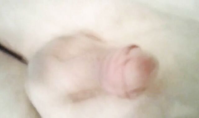 Small Cock Handjob Massage