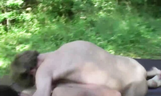 Dirty Hunks Porn HD scene 64