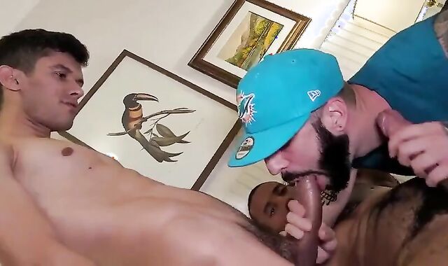 Sharing A wench.voyeur ultra-cute queer Hump