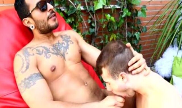 Parent Lucio And Pup Allen