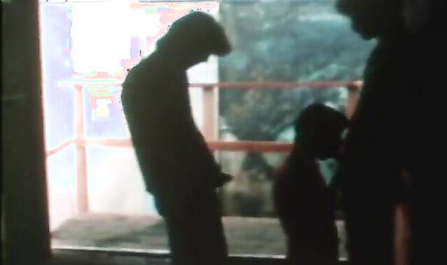 Classical-Antique Back Apartment blow-job pleasure youngsters