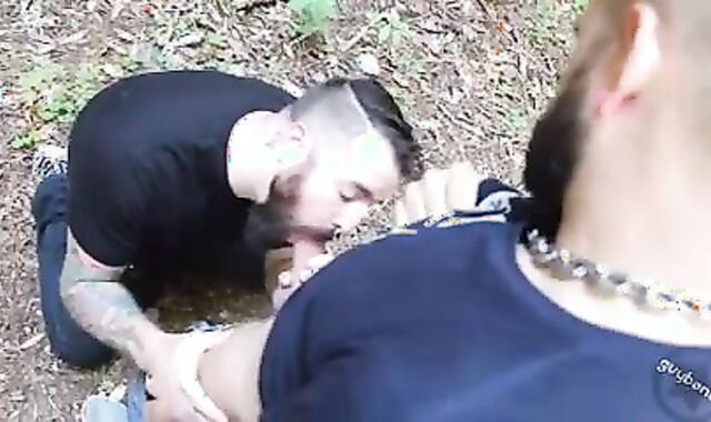 BB beating In The Forest