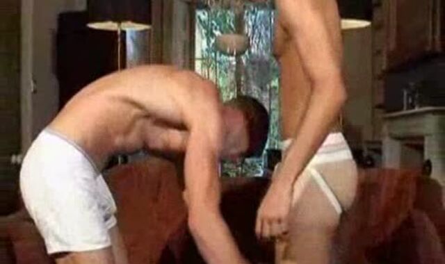 neil stevens and frien faggot parent