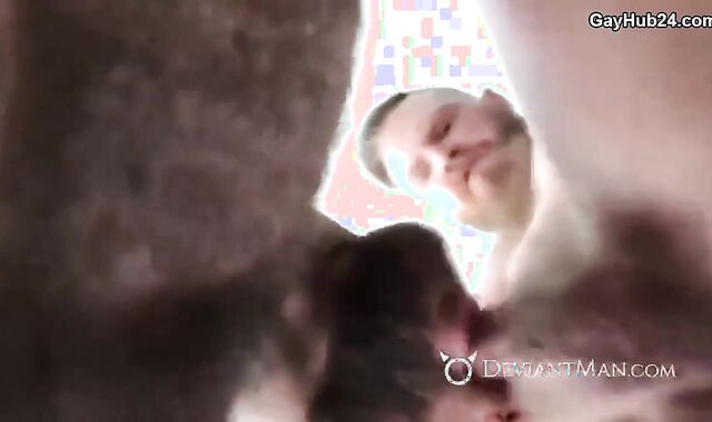 3-some Romp With ultra-kinky Daddies