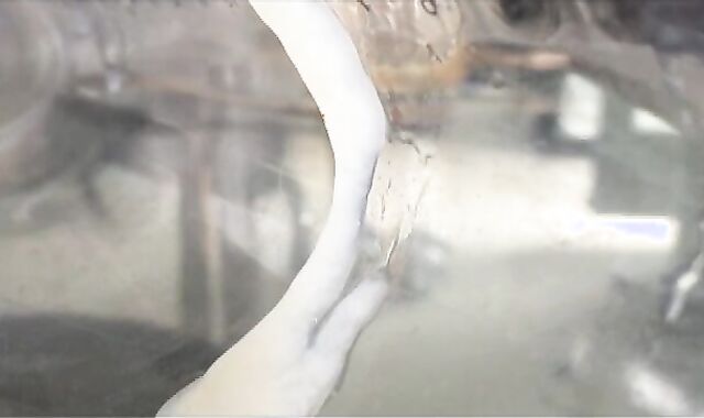 TIERY B.voyeur spycam/voyeur/spycam PICTURE-PORN-GRAPHER spycam-spycam Copyright spycam/spycam Dad voyeur-voyeur thick meatpipe voyeur-spycam palpitating baby batter spycam-spycam Masturb