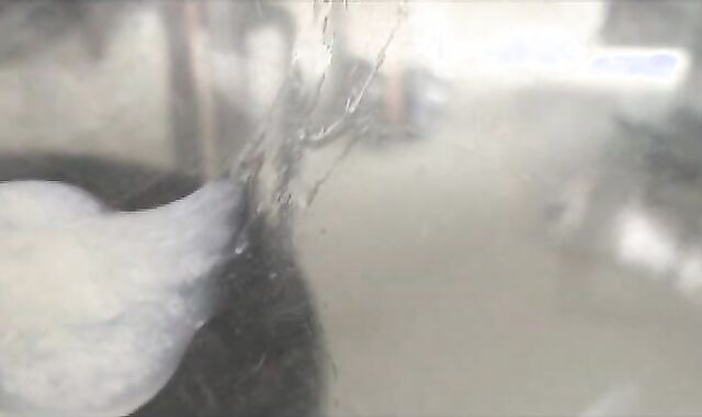 TIERY B.voyeur spycam/voyeur/spycam PICTURE-PORN-GRAPHER spycam-spycam Copyright spycam/spycam Dad voyeur-voyeur thick meatpipe voyeur-spycam palpitating baby batter spycam-spycam Masturb