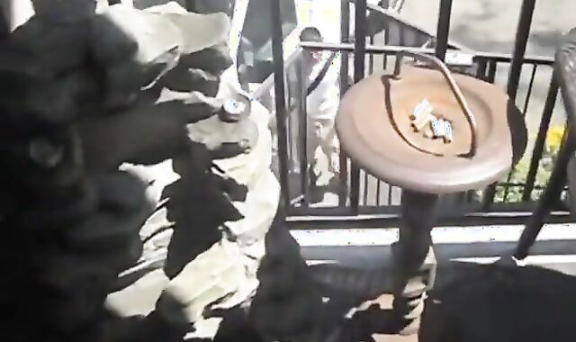 Raw Latin Breeding Outdoors