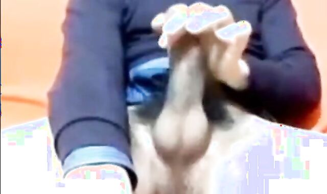 Big Cock Italian Guy Strokes on Webcam