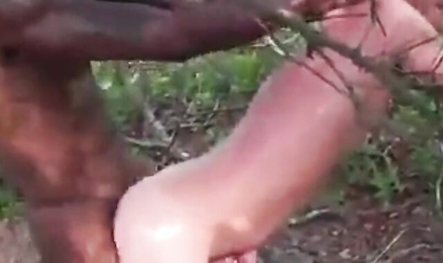 Big Black Cock Breeds White Hole Outdoors