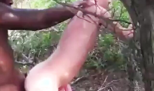 Big Black Cock Breeds White Hole Outdoors