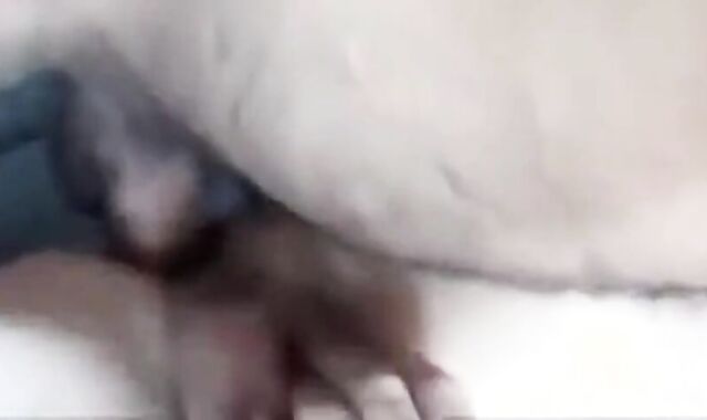 Amateur Bareback: Daddy's Boy