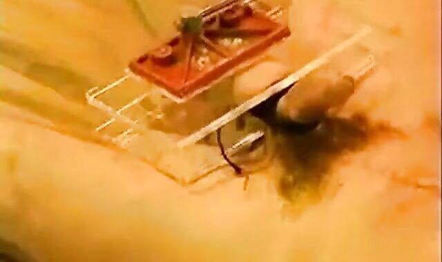 Kinky Gay BDSM Massage 2